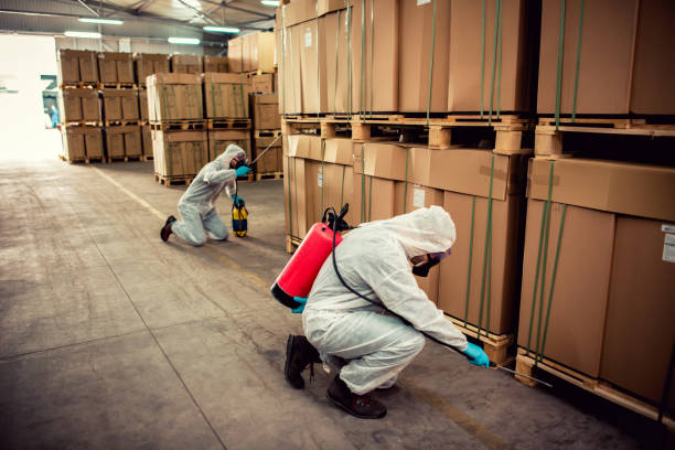  Spring Valley, NV Pest Control Pros