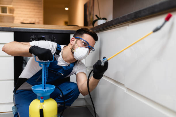 Best Pest Control for Homes  in Spring Valley, NV