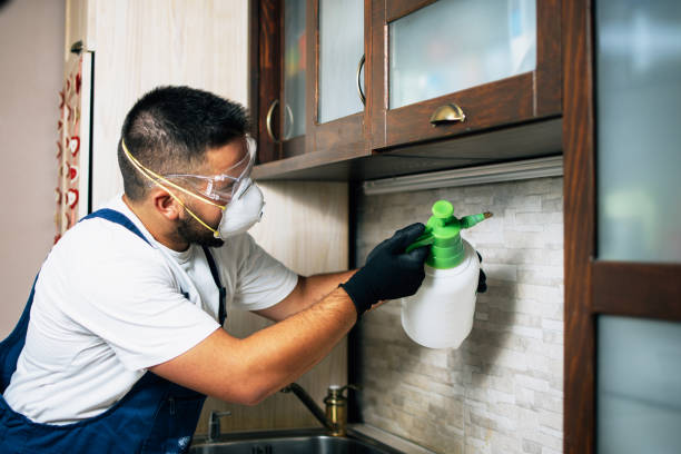 Wildlife Control Services in Spring Valley, NV