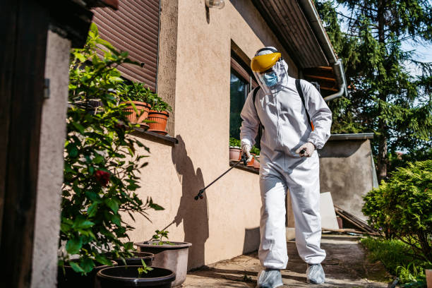 Best Residential Pest Control  in Spring Valley, NV