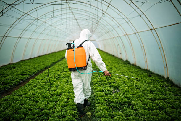 Best Pest Removal Services  in Spring Valley, NV