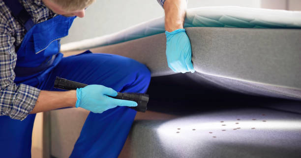Best Affordable Pest Control Services  in Spring Valley, NV