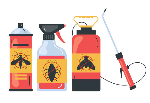 Best Flea Control Services  in Spring Valley, NV