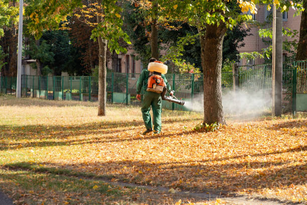 Reliable Spring Valley, NV Pest Control Solutions