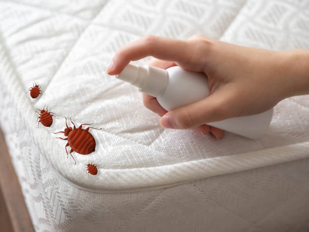 Best Best Pest Control Companies  in Spring Valley, NV